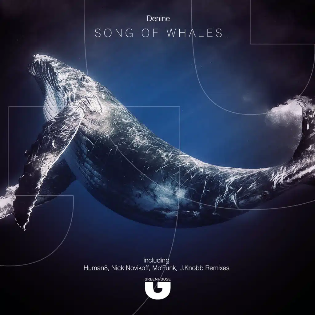Song of Whales (MO'Funk Remix)