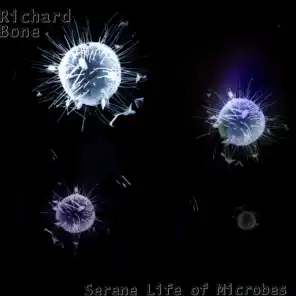 Serene Life of Microbes