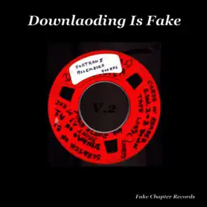 Various Artists - Fake Chapter Records