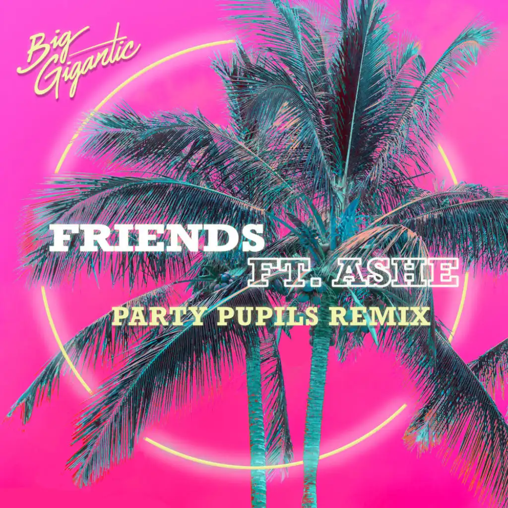 Friends (Party Pupils Remix) [feat. Ashe]