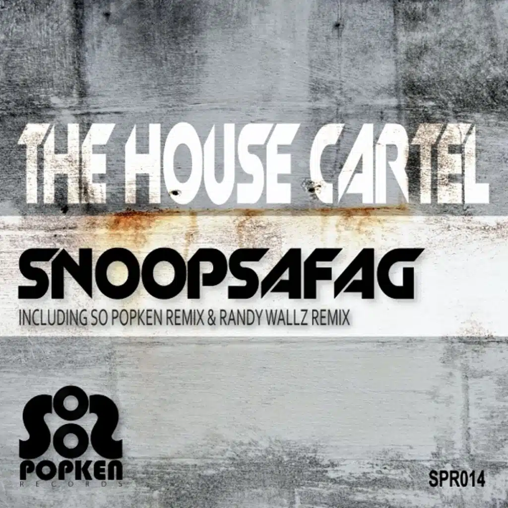 Snoopsafag