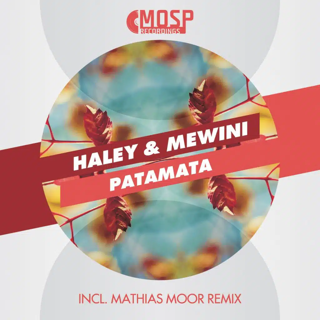 Patamata (feat. Haley & Mewini)