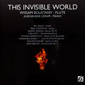 This Invisible World