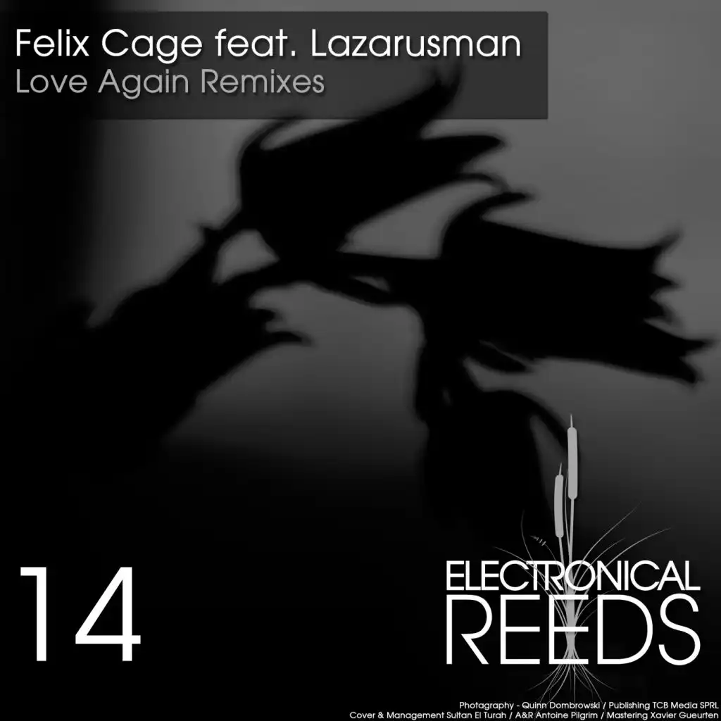 Love Again Remixes (feat. Lazarusman)