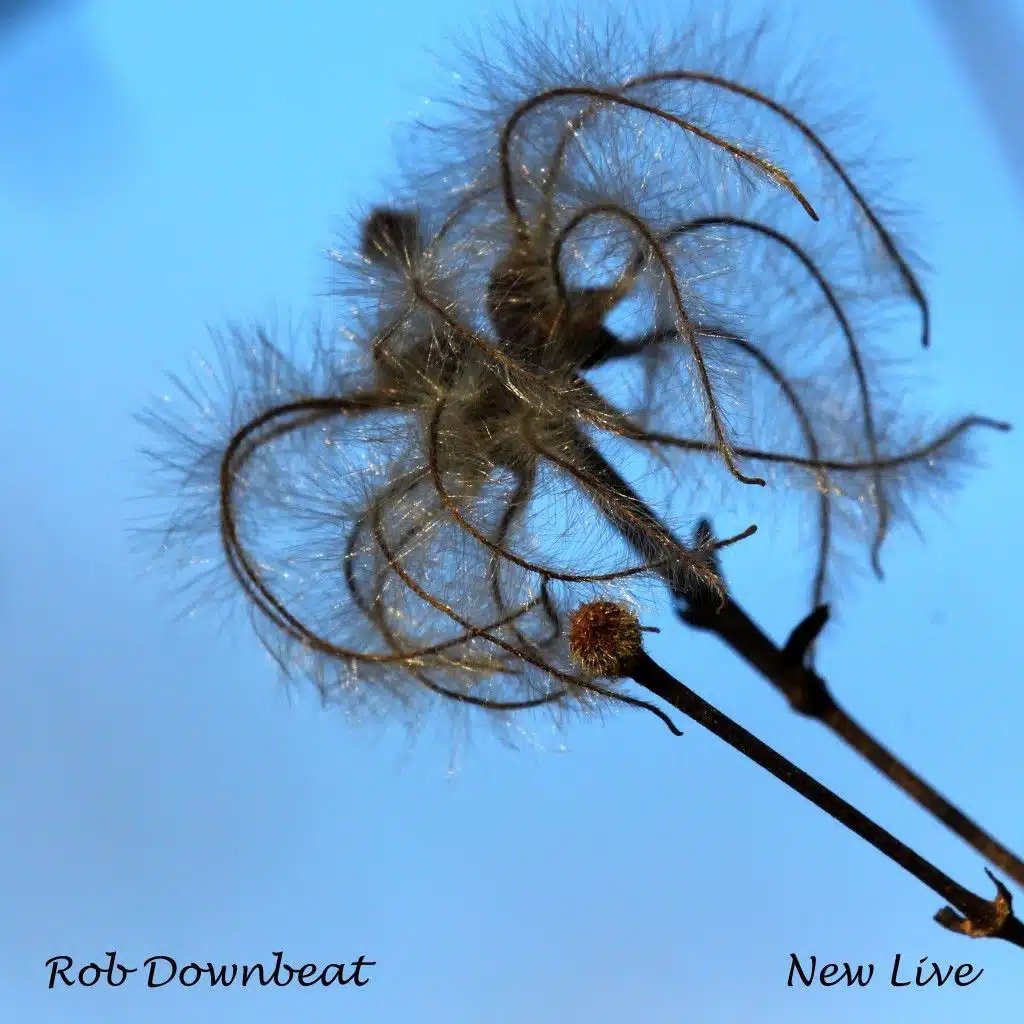 Rob Downbeat