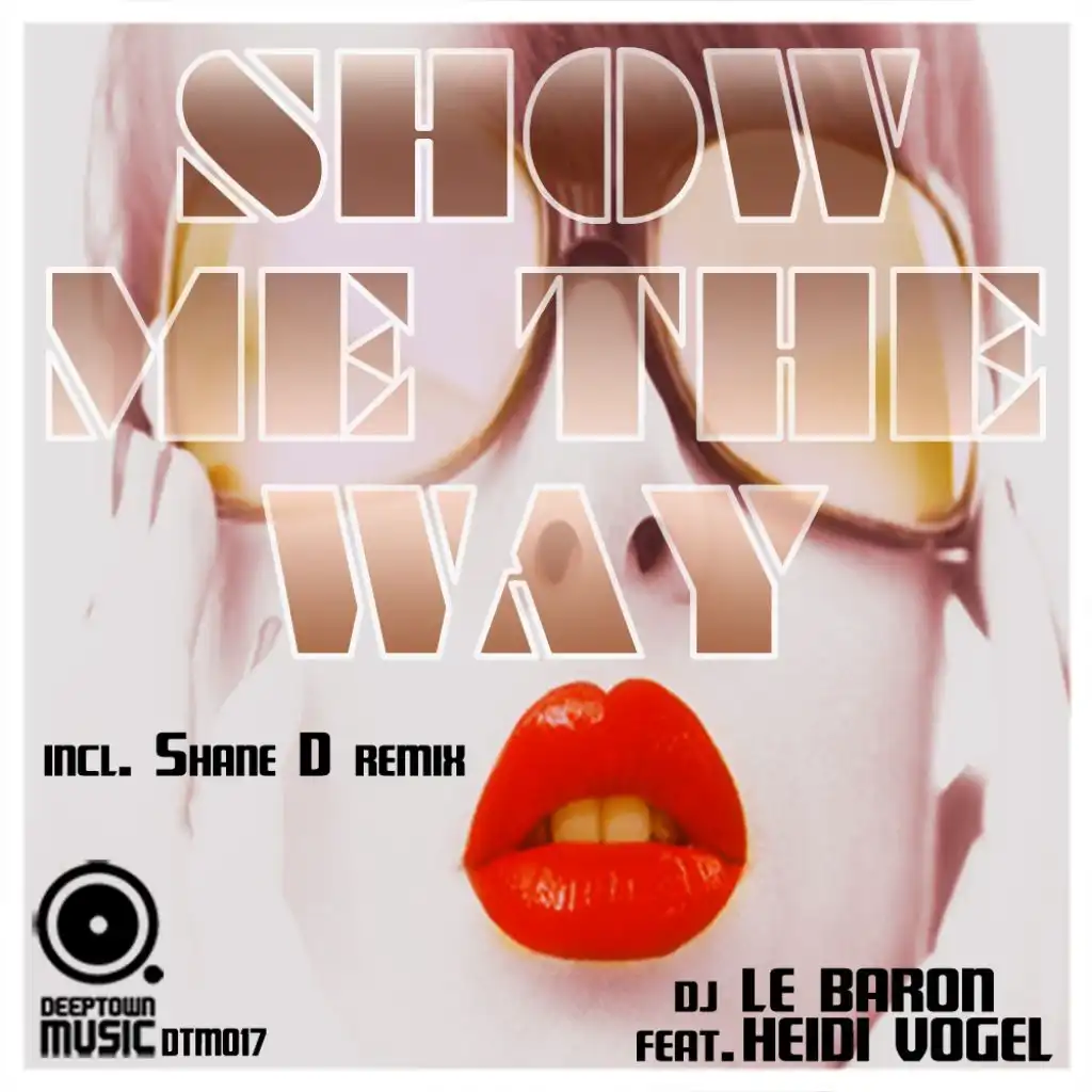 Show Me The Way (Incl. Shane D Remix) (Part1) [feat. Heidi Vogel]