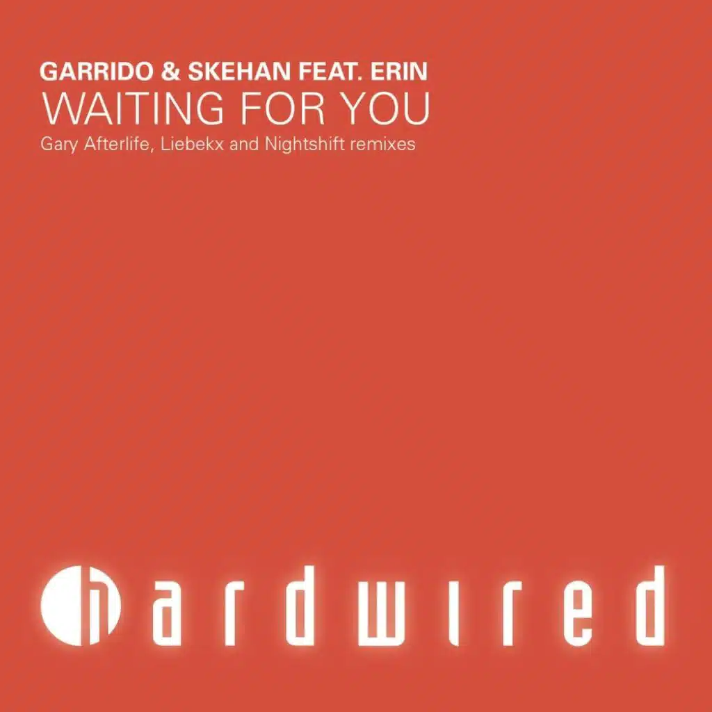 Waiting For You - The Remixes (feat. Erin)