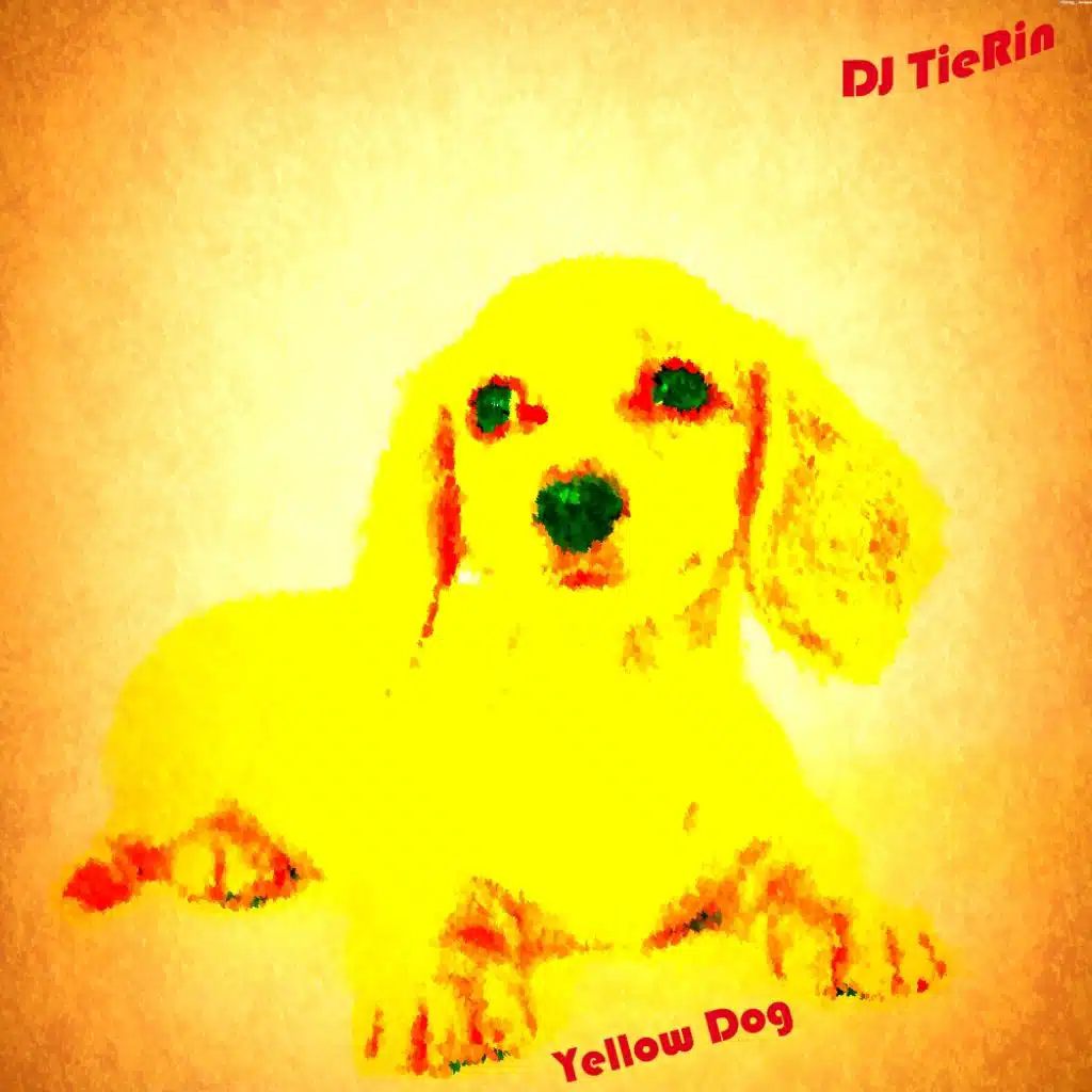 DJ Tierin