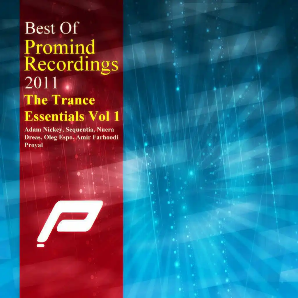 Best Of Promind Recordings 2011