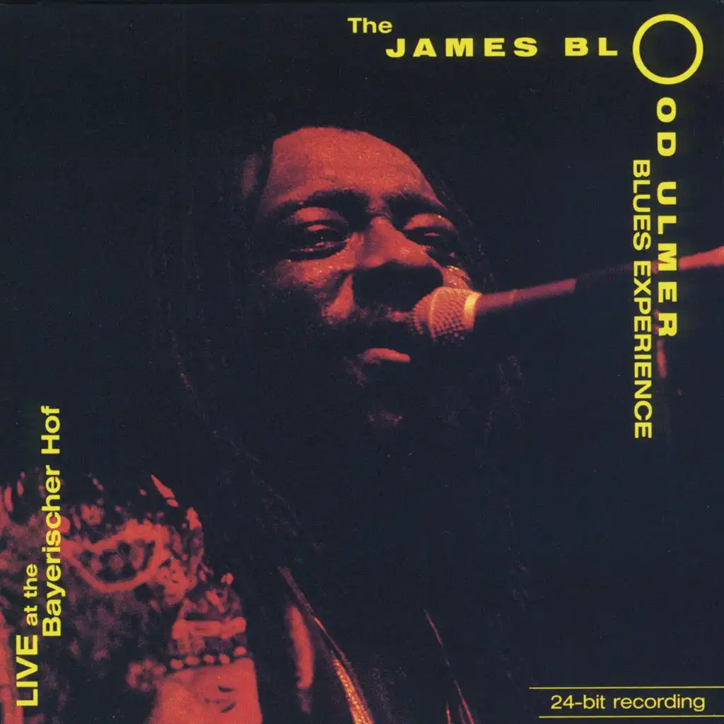 The James Blood Ulmer Blues Experience