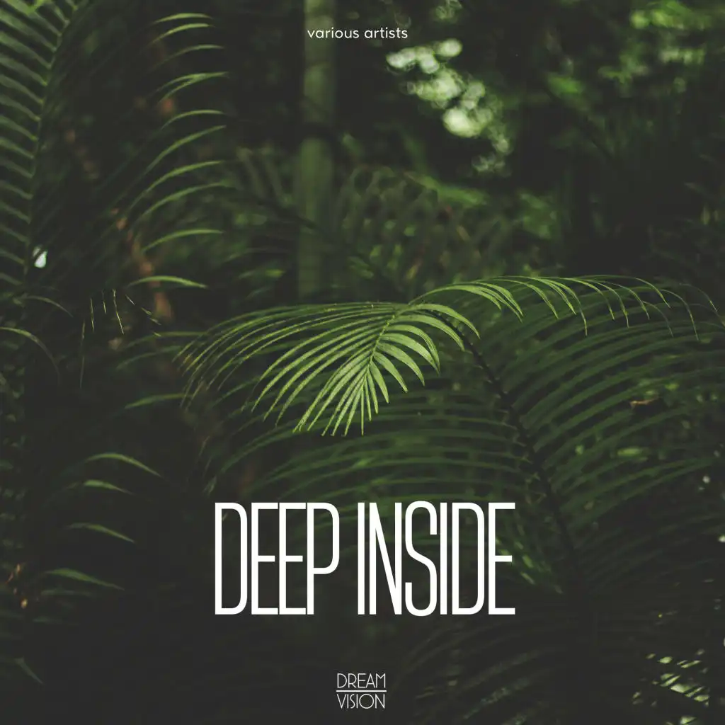 Deep Inside