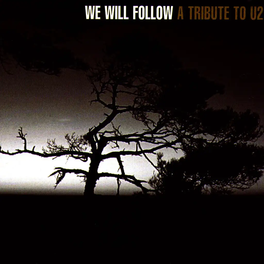 We Will Follow: A Tribute to U2