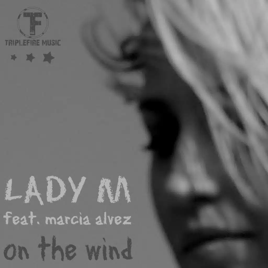 On the Wind (Radio Edit)