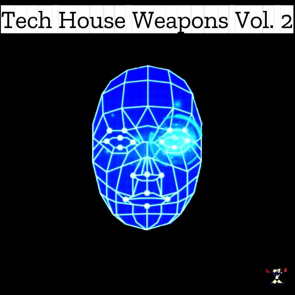 Tech House Weapons Vol. 2