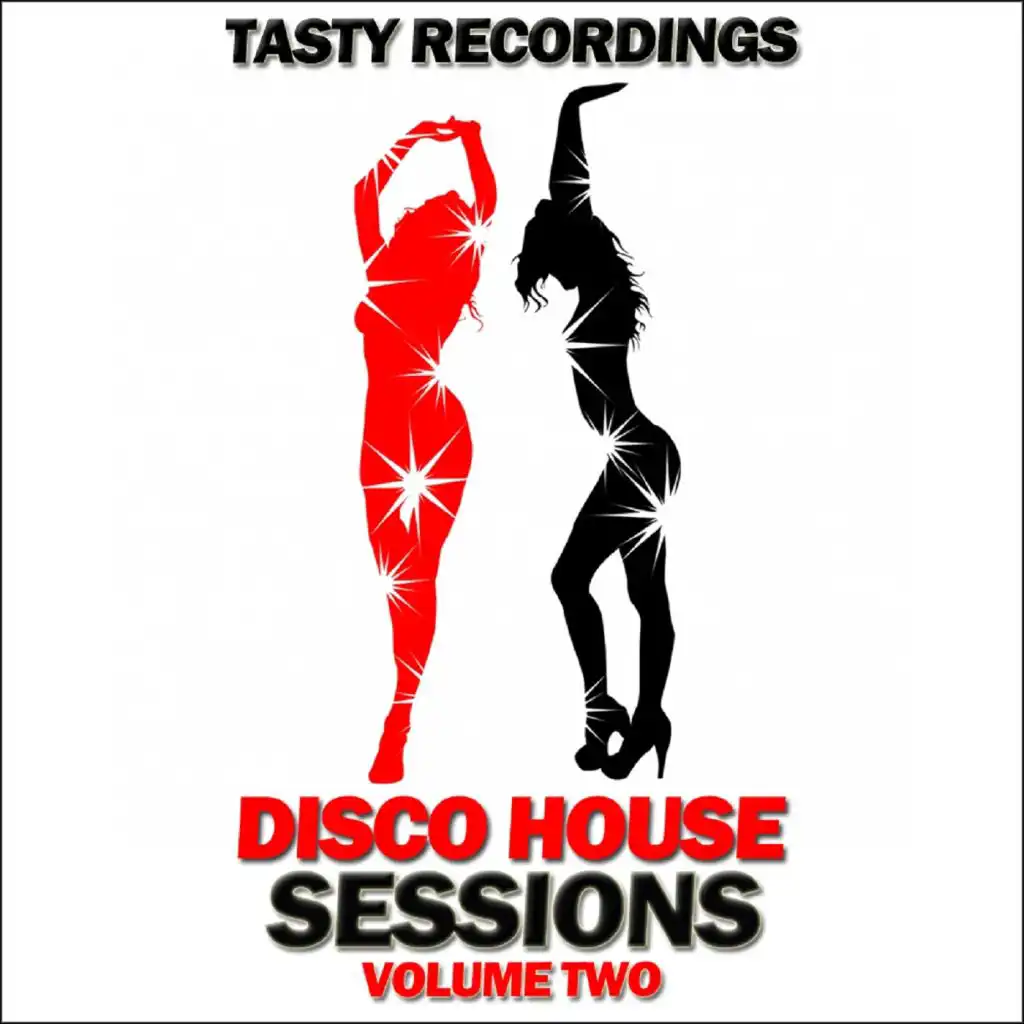 Disco House Sessions - Volume 2