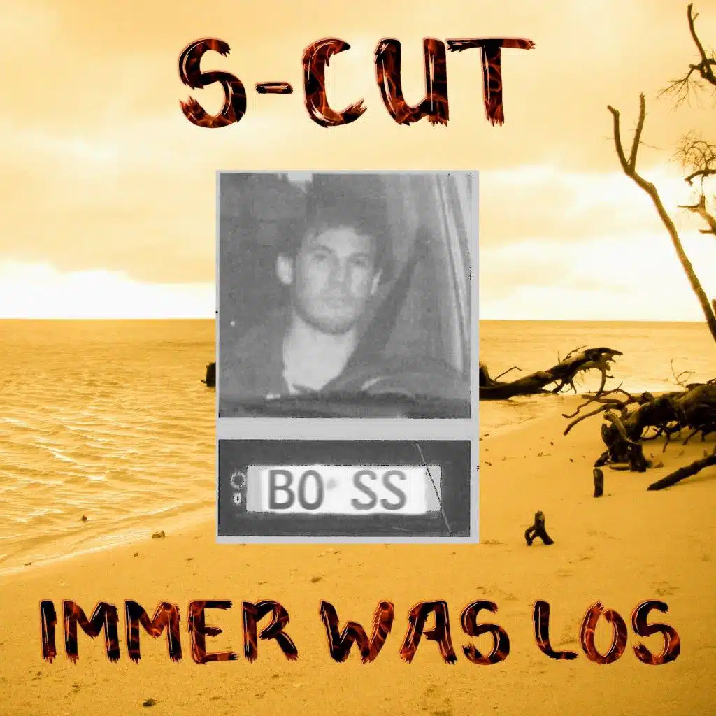 S-Cut