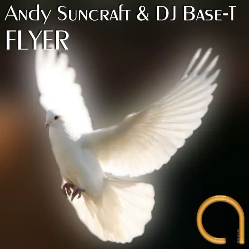 Flyer (Aesthetic Minds Remix)
