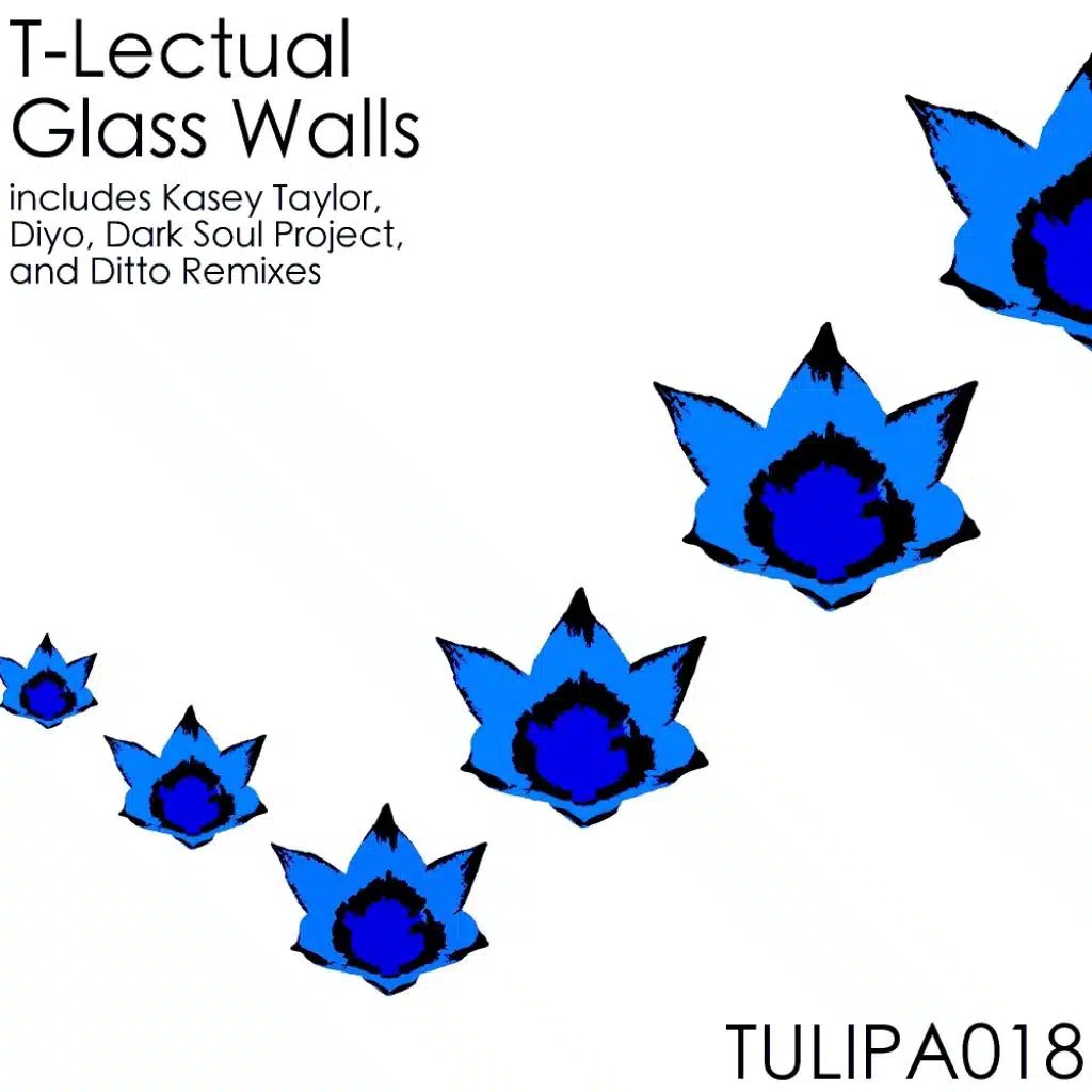 Glass Walls (Dark Soul Project Remix)