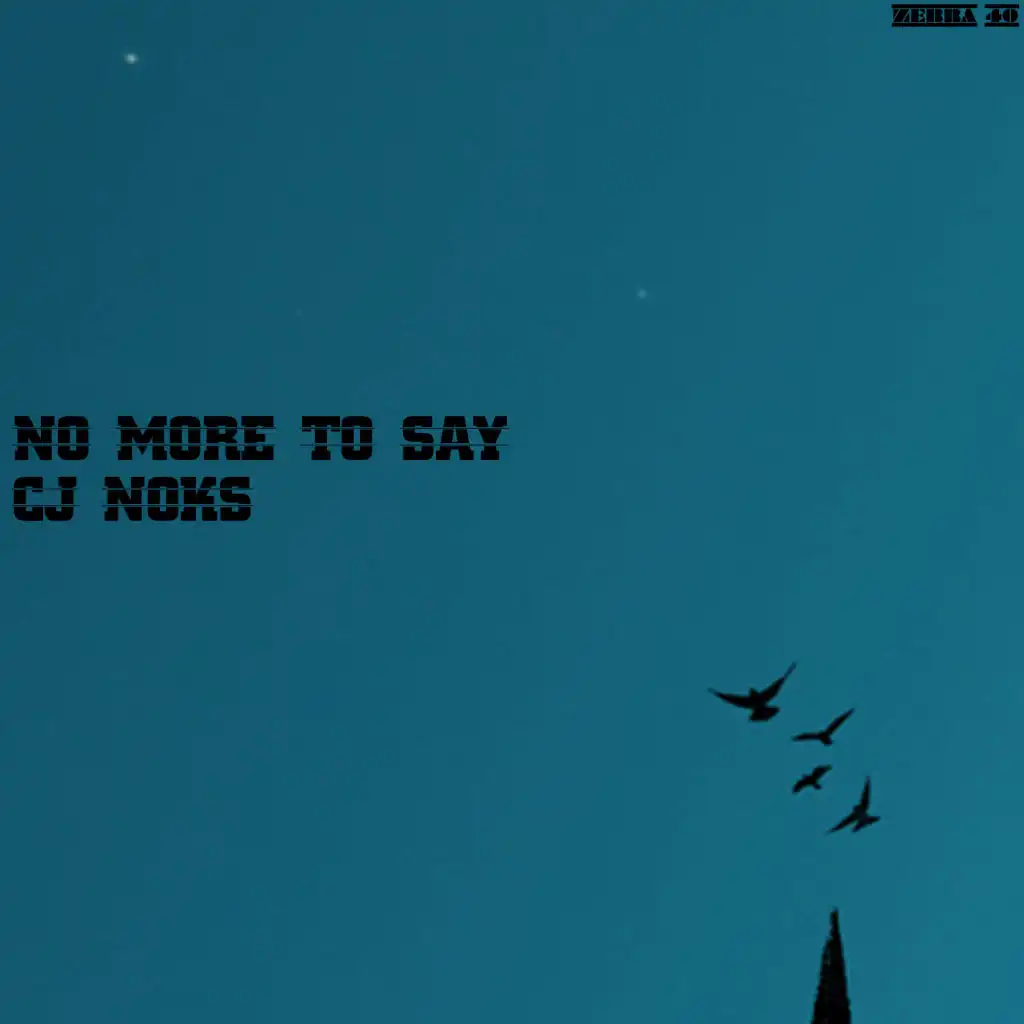 No More to Say