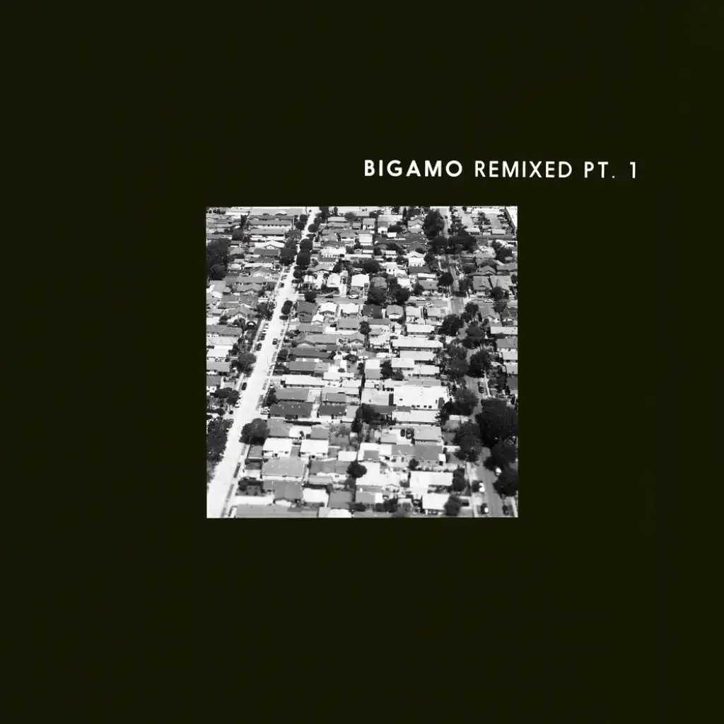 Bigamo Remixed Pt. 1
