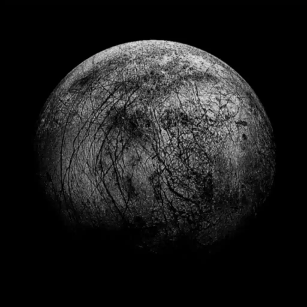 The European Standard