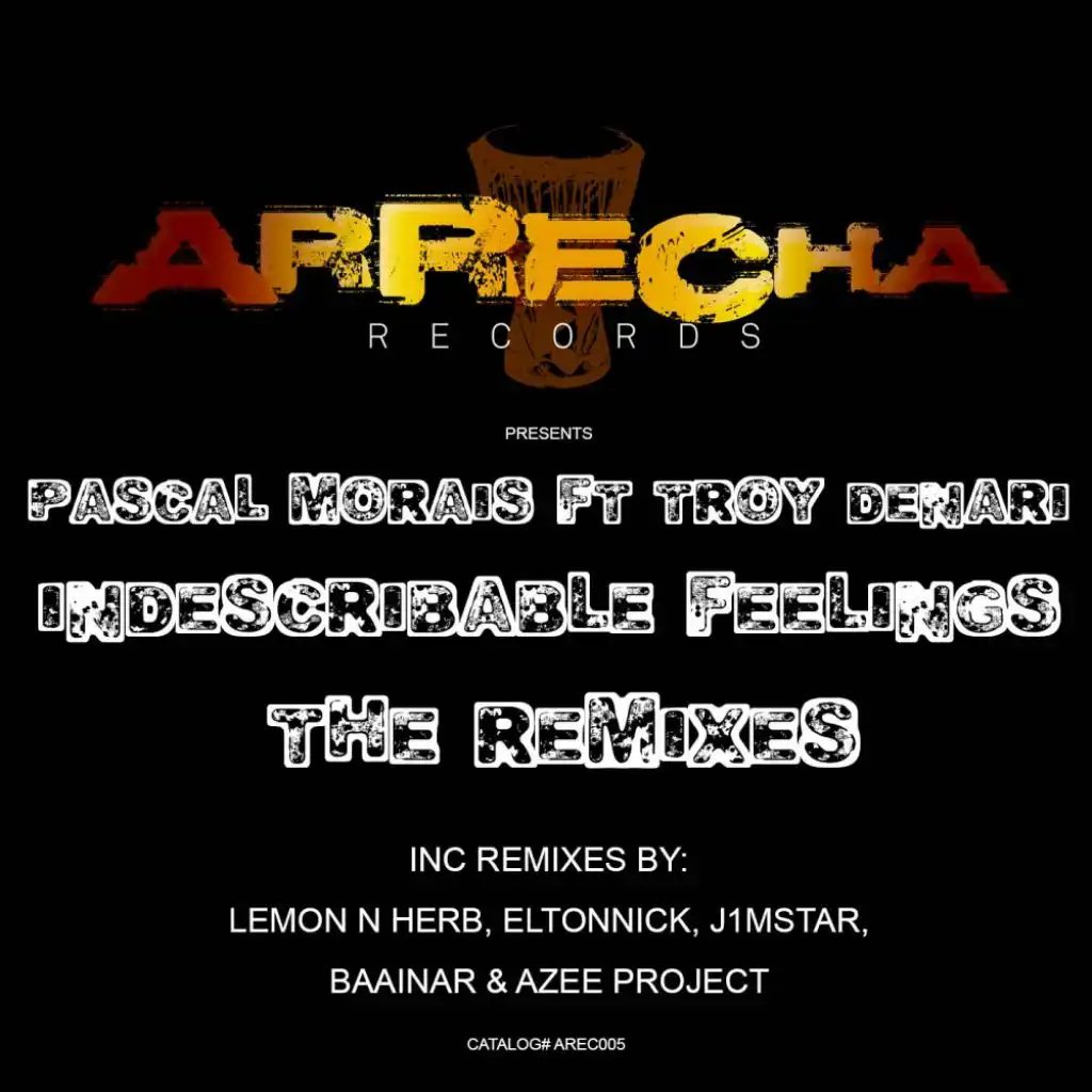 Indescribable Feelings (J1Mstar Piano Dub) [feat. Troy Denari]