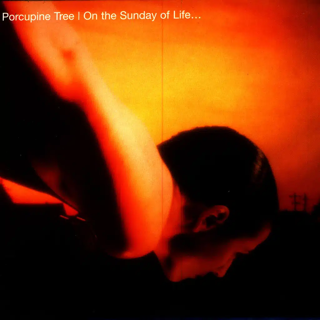 And The Swallows Dance Above The Sun