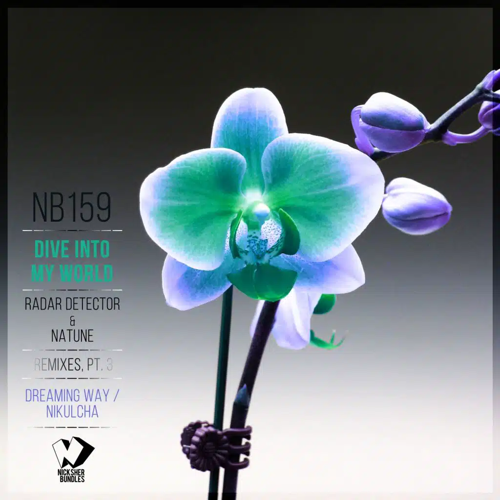 Radar Detector & Natune