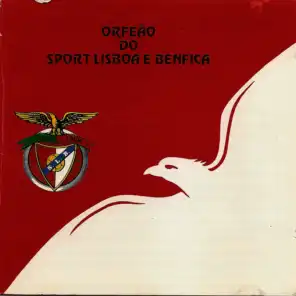 Benfica Olaré Benfica!