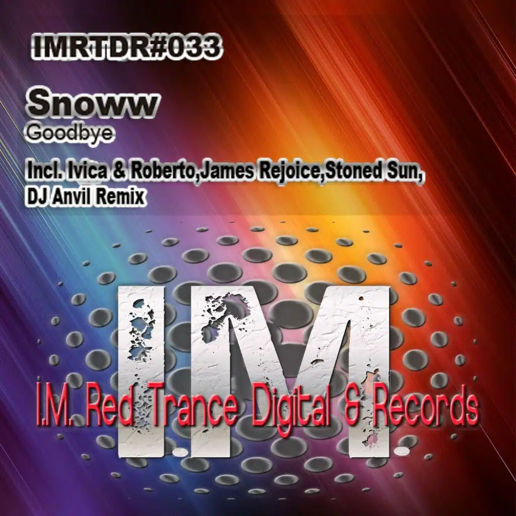 Goodbye (DJ Anvil Remix)