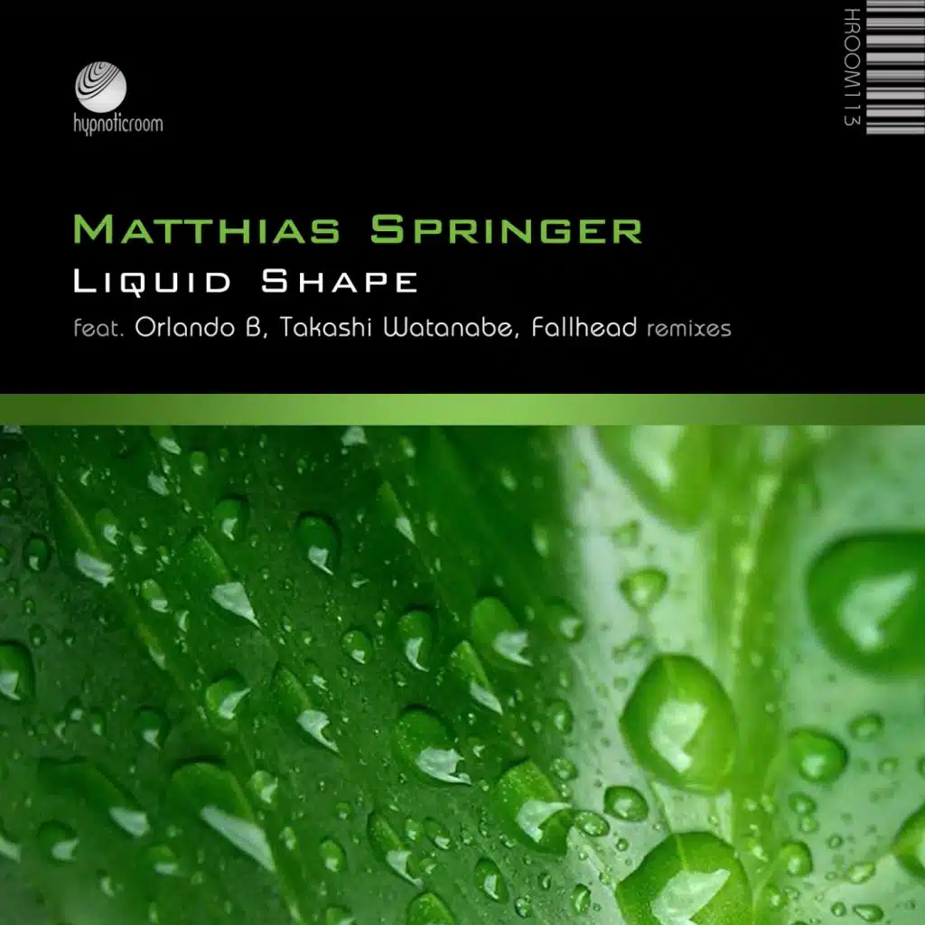 Liquid Shape (Orlando B  Bass You  Remix)