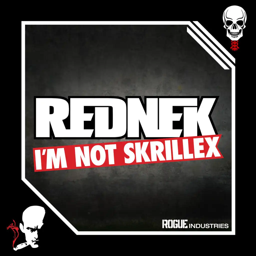 I'm Not Skrillex