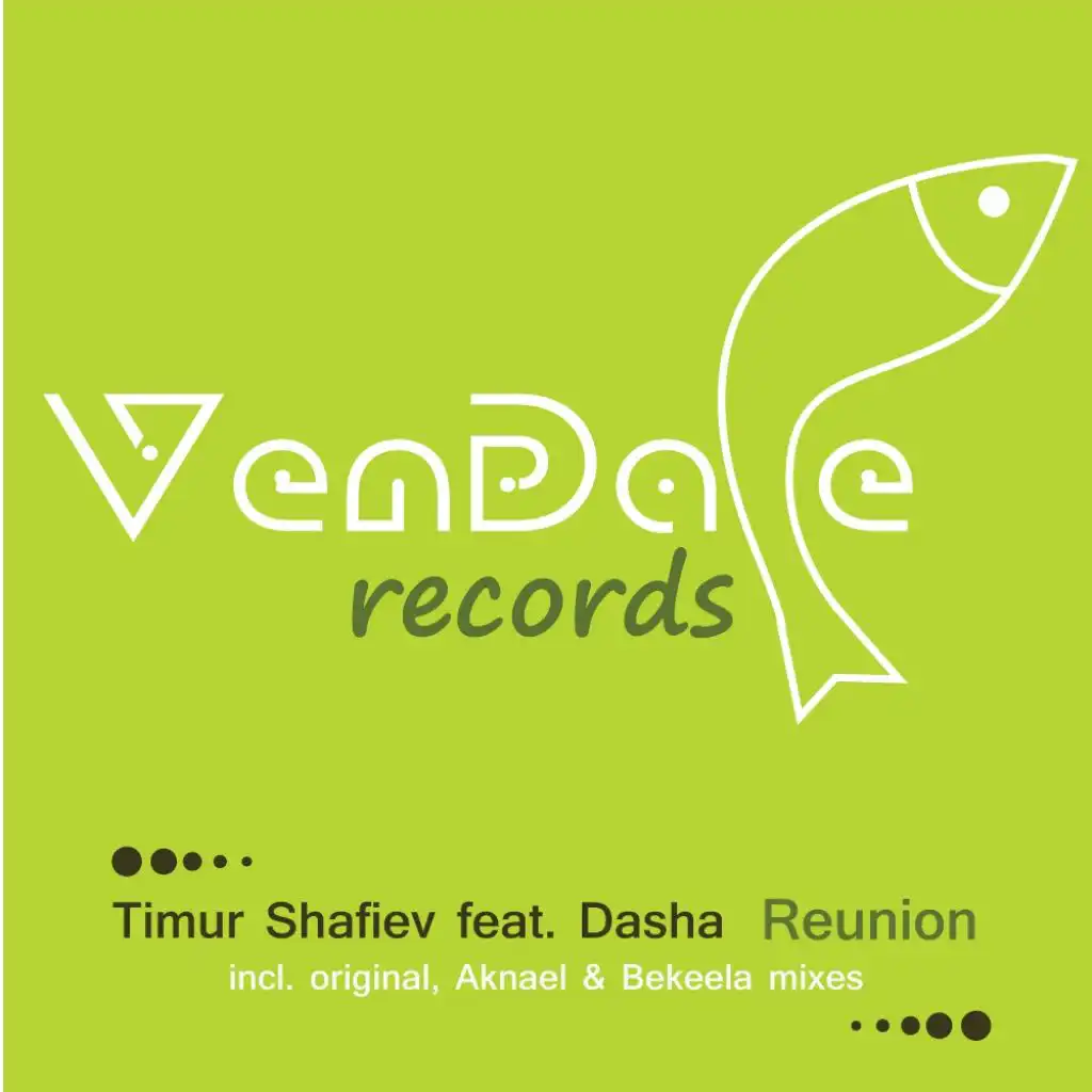 Reunion (Radio Edit) [feat. Dasha & Timur Shafiev]