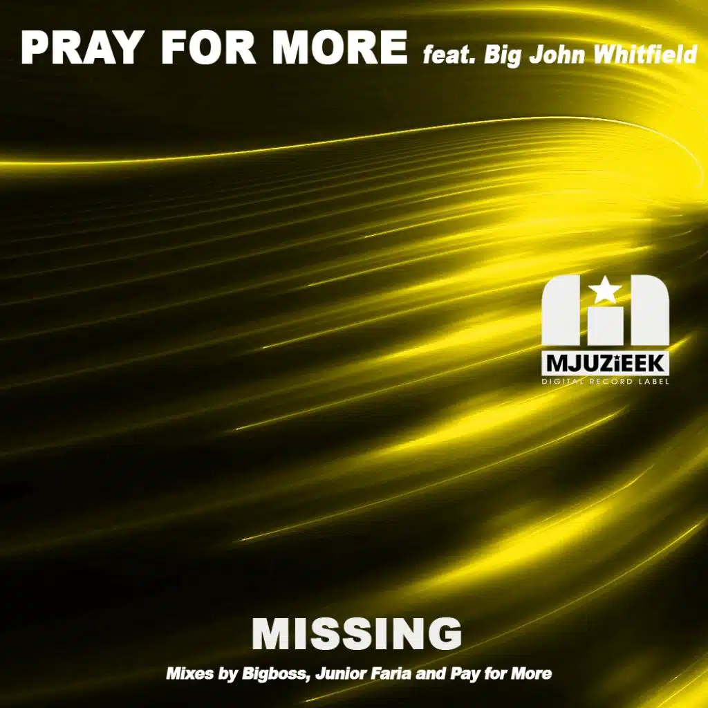 Missing (Junior Faria Remix) [feat. Big John]