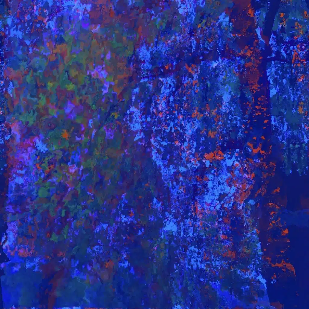 Our Lonely Afternoons