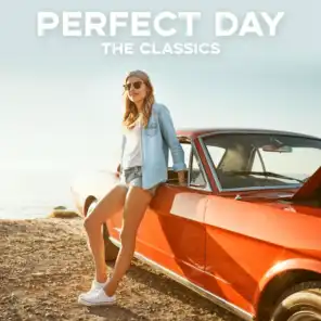 Perfect Day: The Classics