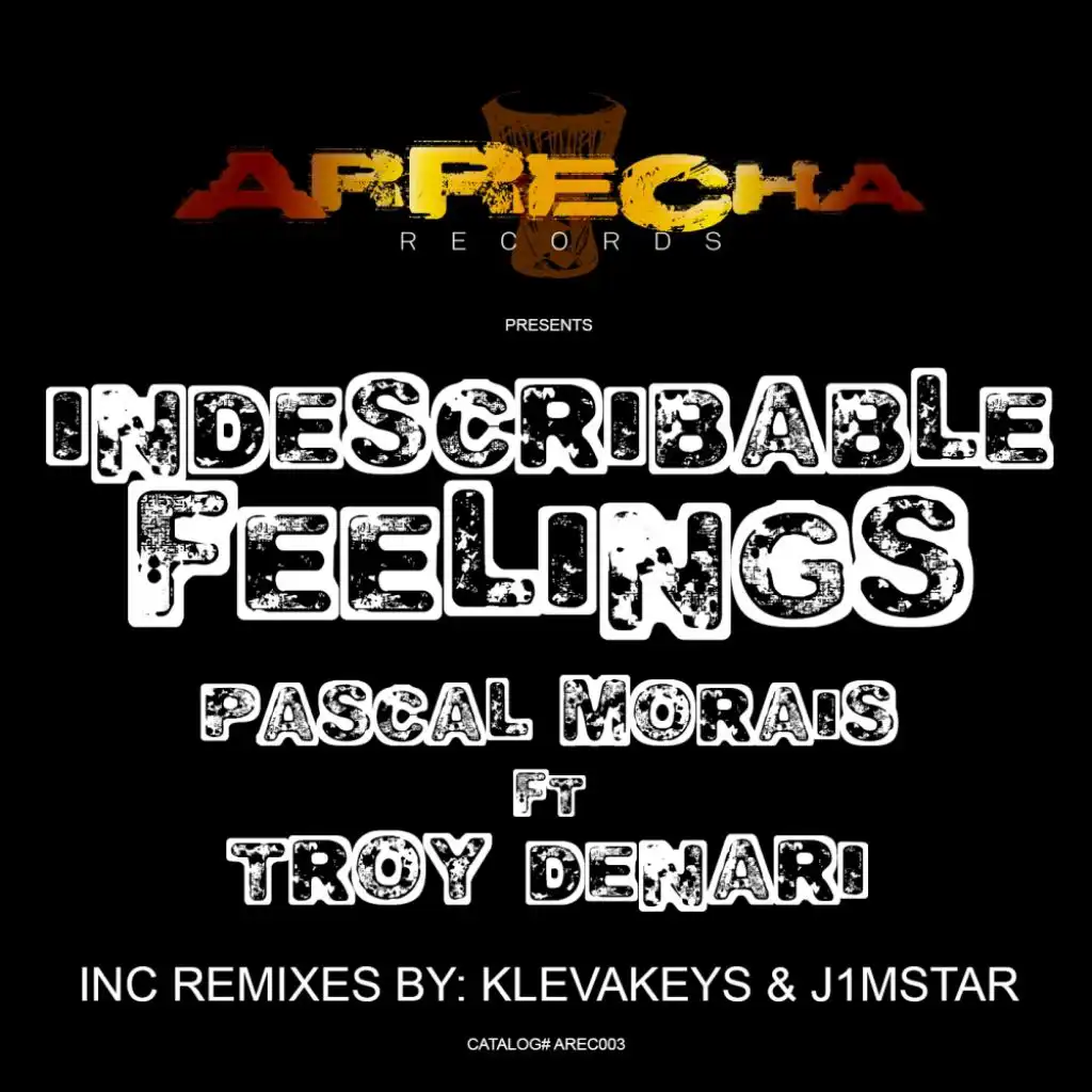 Indescribable Feelings (feat. Troy Denari & Pascal Morais)