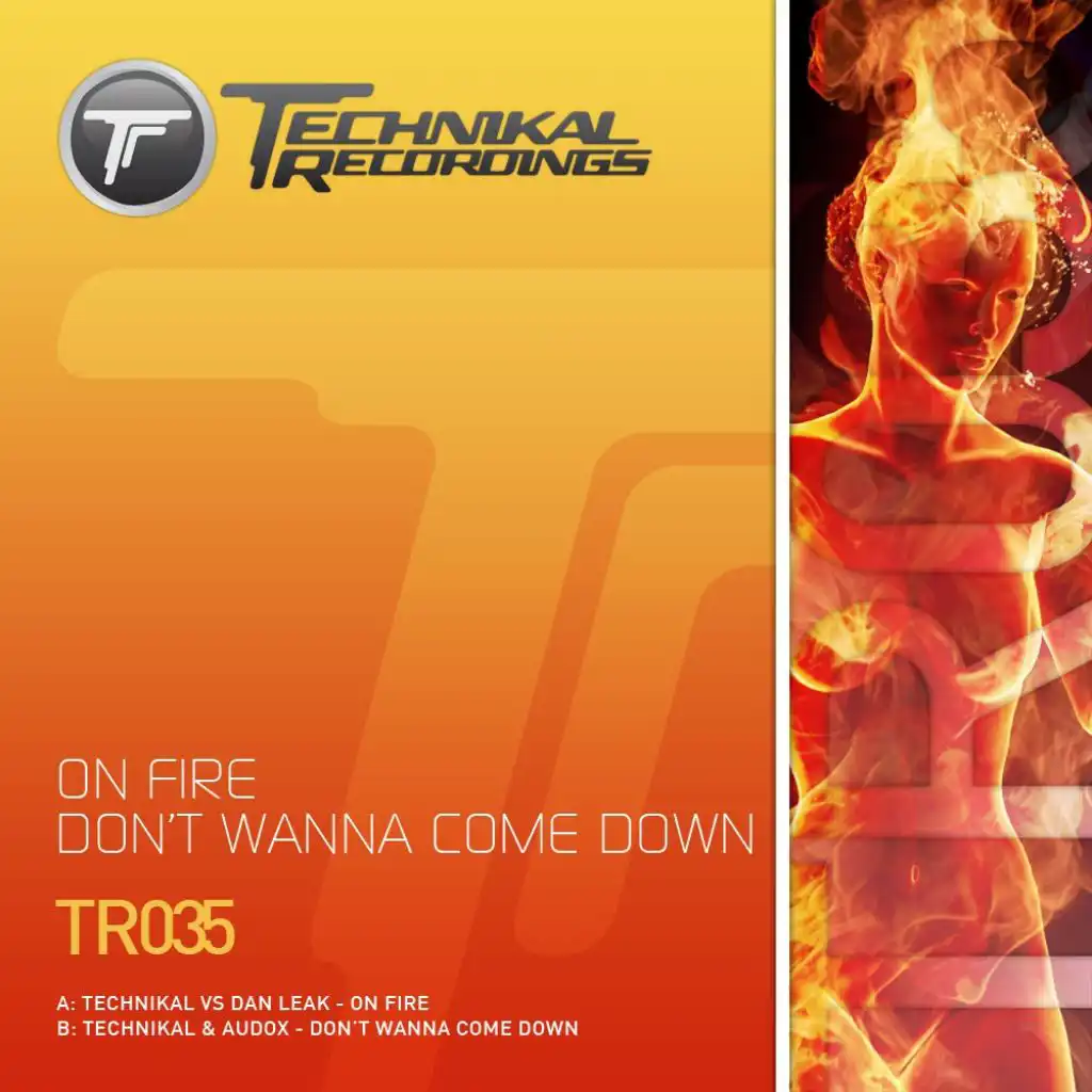 On Fire (feat. Technikal & Dan Leak)