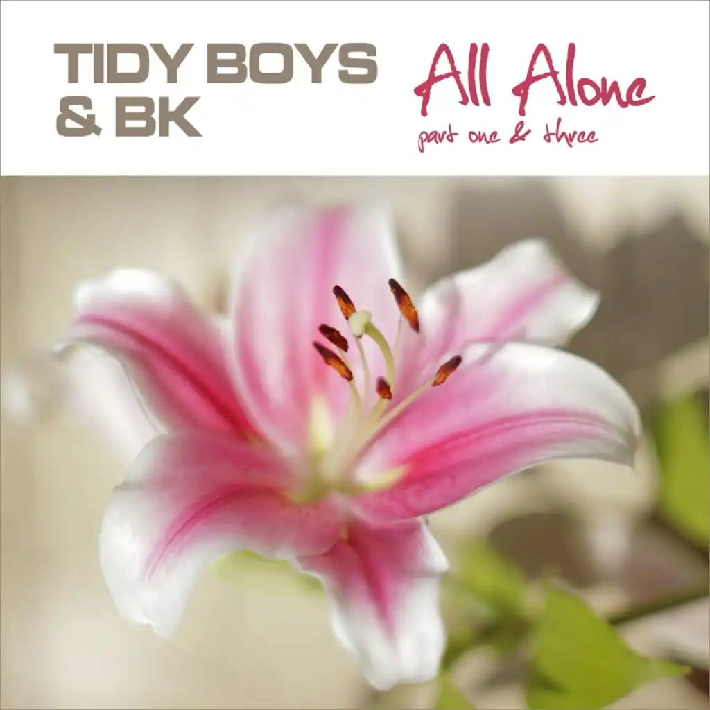 All Alone (Part 3) [feat. Tidy Boys & BK]