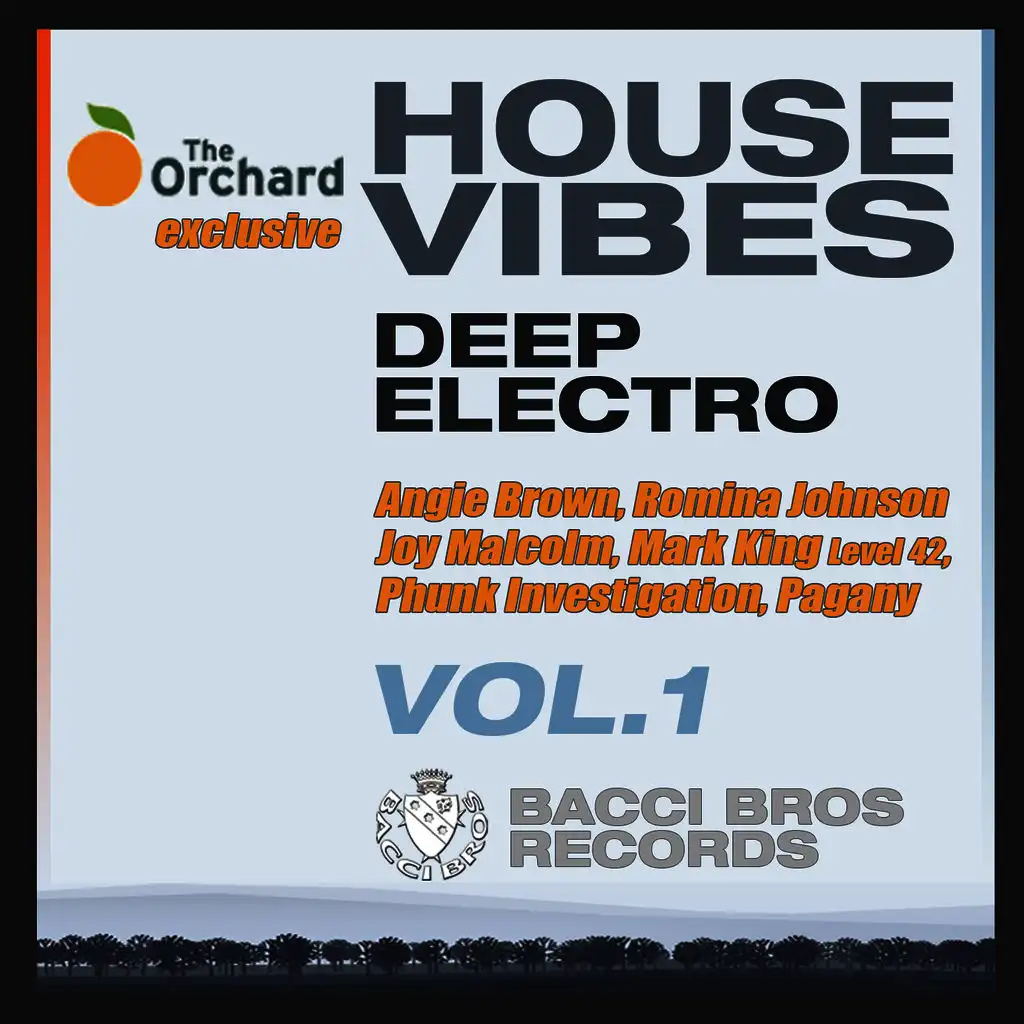 House Vibes Deep Electro Vol. 1