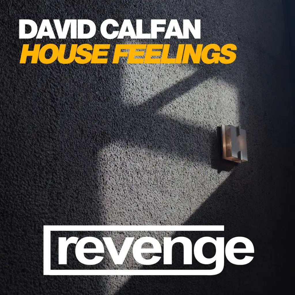 House Feelings (Dub Mix)