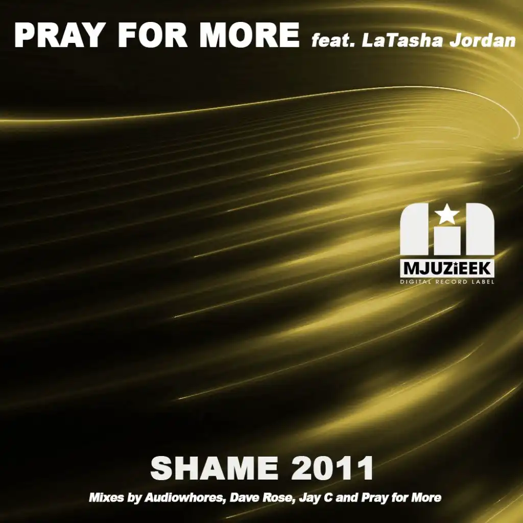 Shame 2011 (feat. LaTasha Jordan)