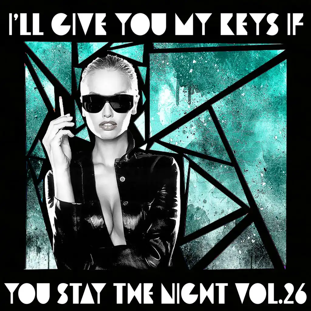 I'll Give You My Keys If You Stay The Night Vol. 26