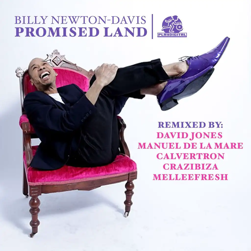 Promised Land (David Jones Remix)