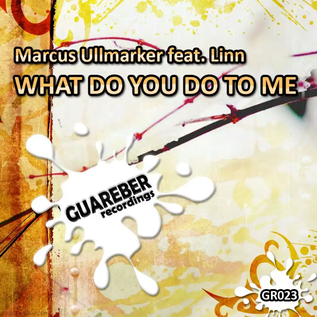 What Do You Do To Me (feat. Linn & Marcus Ullmarker)