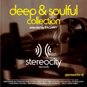 Love What U Feel (2011 Vocal Mix) [feat. Joy Malcolm & Pagany]
