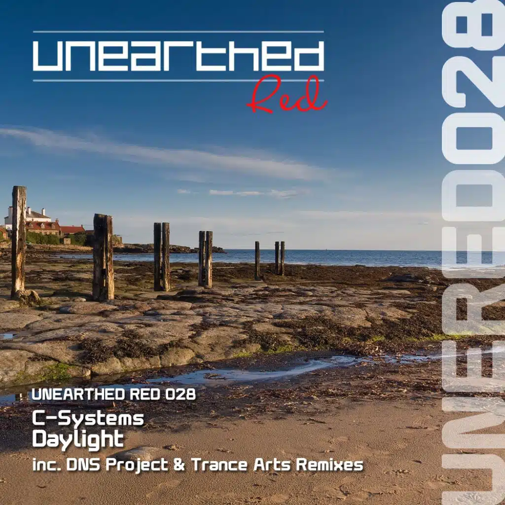 Daylight (DNS Project Remix)