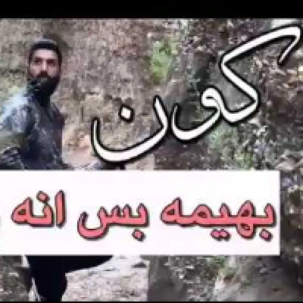 كون ابهيمة بس انا وشريجي