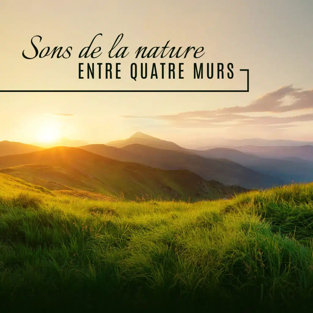 Sons de la nature entre quatre murs