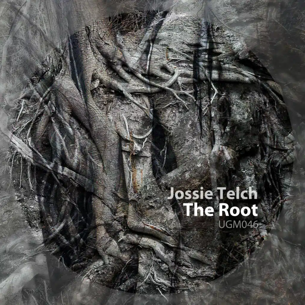 The Root